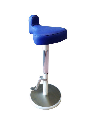 Selle de Pauchet