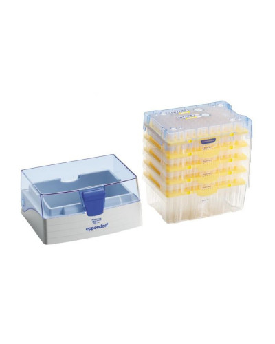 Cônes eppendorf ep tips: 2 - 200µl