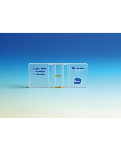 Cellule malassez, double, qualité preciss